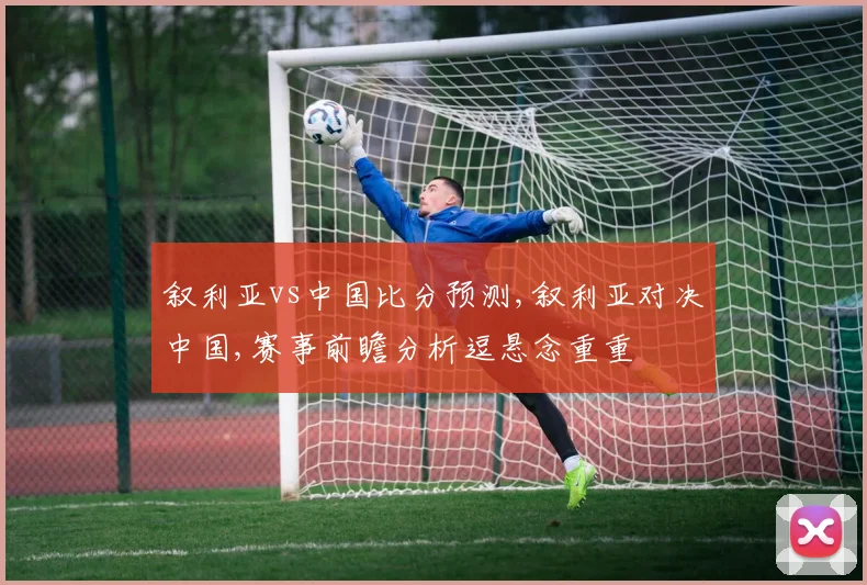 叙利亚vs中国比分预测,叙利亚对决中国,赛事前瞻分析逗悬念重重