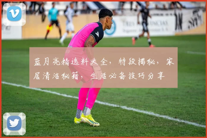 蓝月亮精选料大全，特段揭秘，家居清洁秘籍，生活必备技巧分享